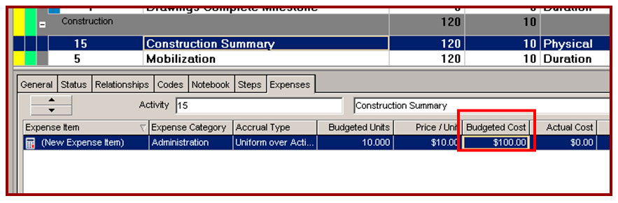 performance complete in primavera p6